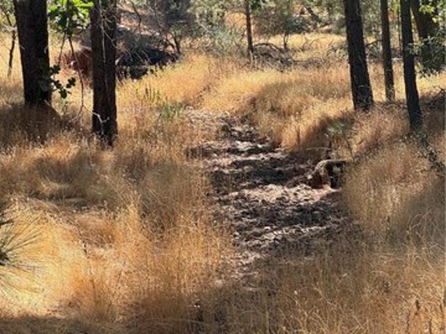 Land for sale in Mariposa, Mariposa County