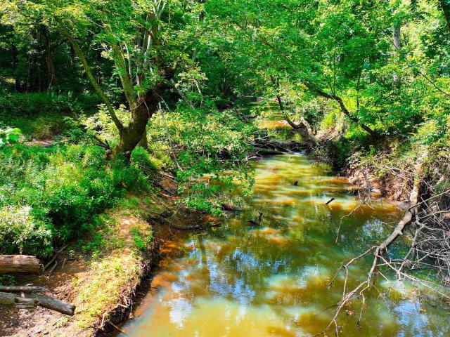 Land for sale in Freedom, Indiana