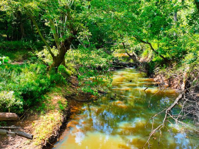 Land for sale in Freedom, Indiana