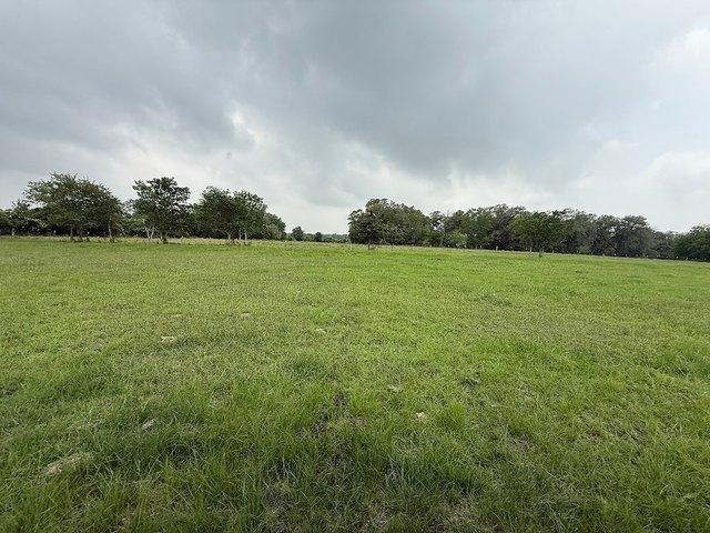 Farm for sale in Schulenburg, Fayette County
