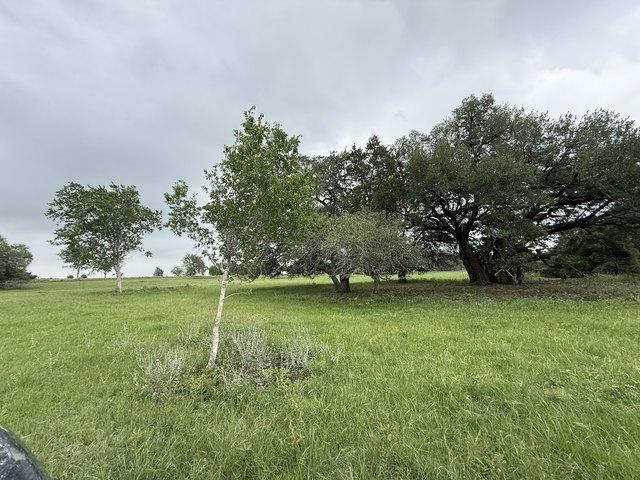 Land for sale in Schulenburg, Texas