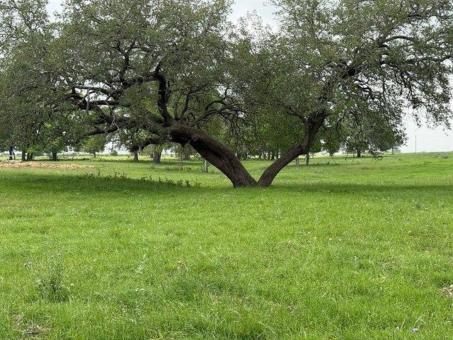 Farm for sale in Schulenburg, Texas