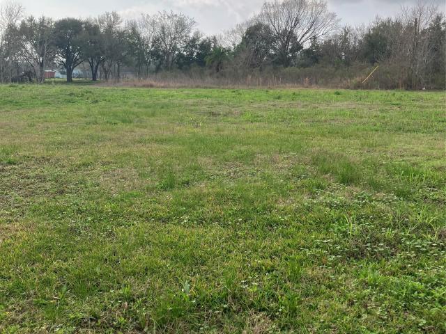 Land for sale in Hitchcock, Texas