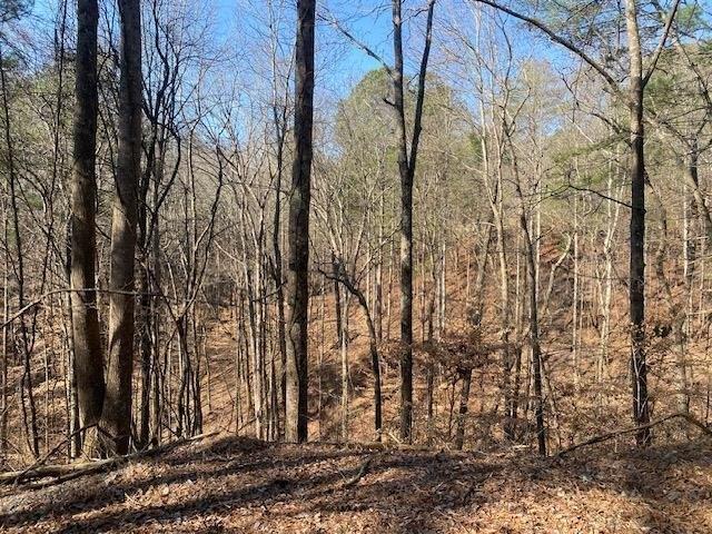 Land for sale in Gordon, Georgia