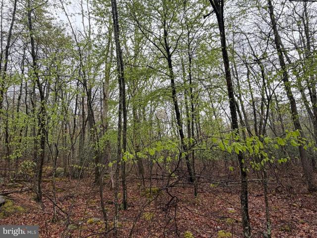 Land for sale in Zion Grove, Pennsylvania