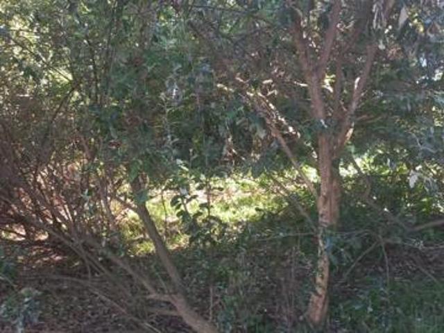 Land for sale in Princess Grant, Kwazulu-natal
