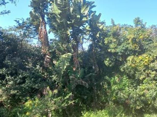 Land for sale