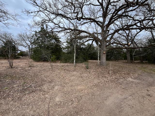 Land for sale in Somerville, Texas