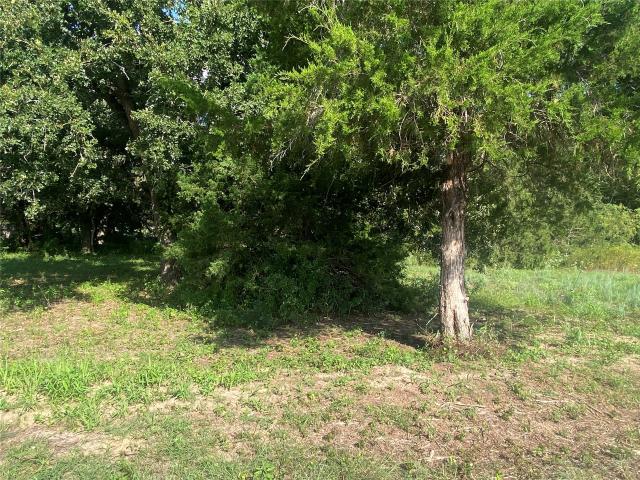Land for sale in Somerville, Texas