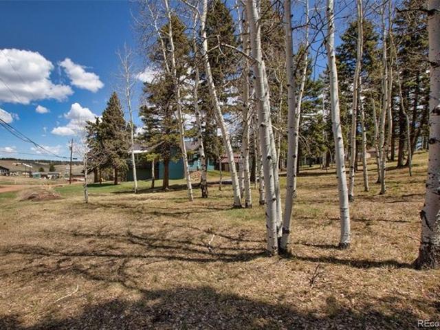 Land for sale in Divide, Teller County