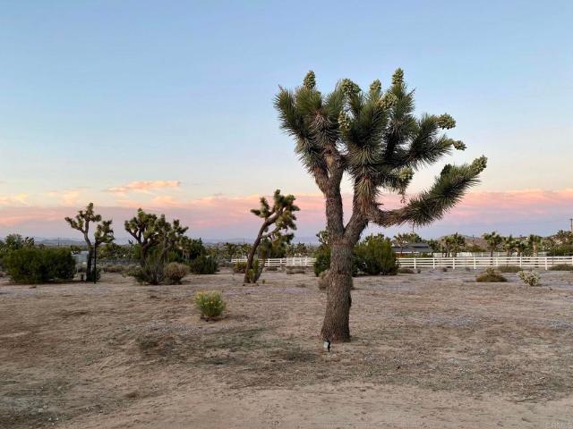 House for sale in Yucca Valley, California