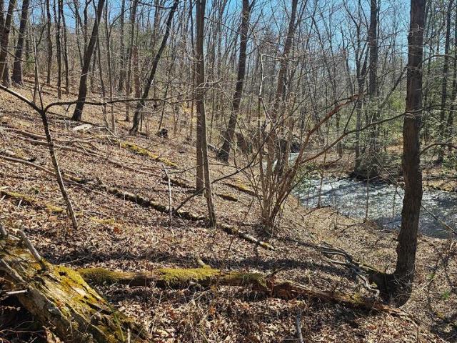 Land for sale in Milroy
