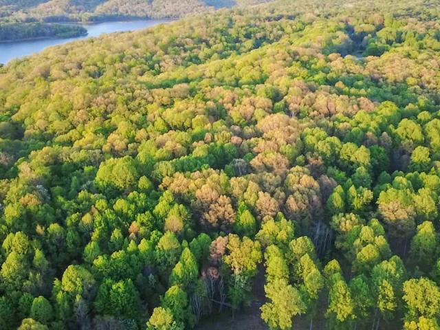 Land for sale in Indiana