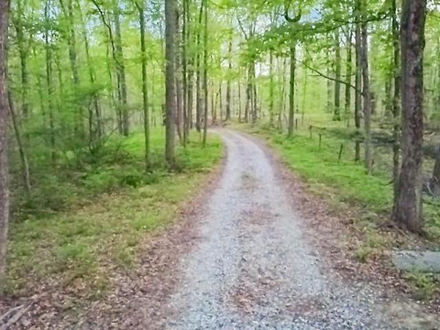 Land for sale in Nashville, Indiana