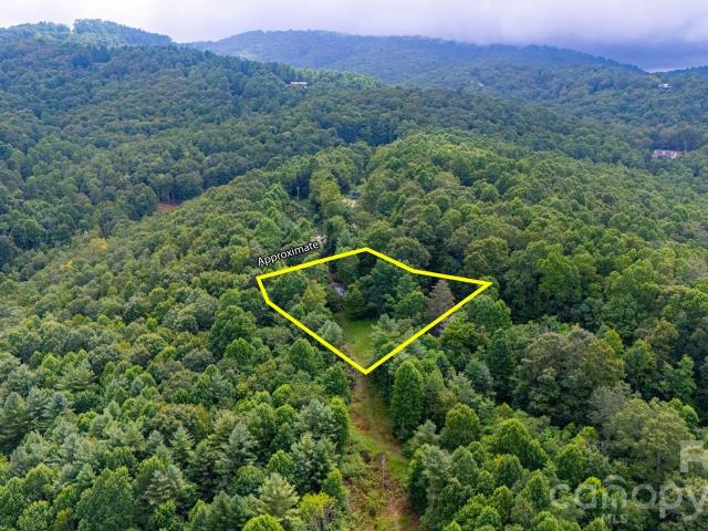 House for sale in Spruce Pine, North Carolina