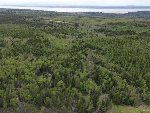 Land for sale in Barronsfield, Nova Scotia