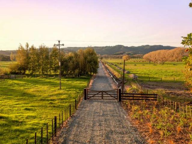 Land for sale in Mahurangi