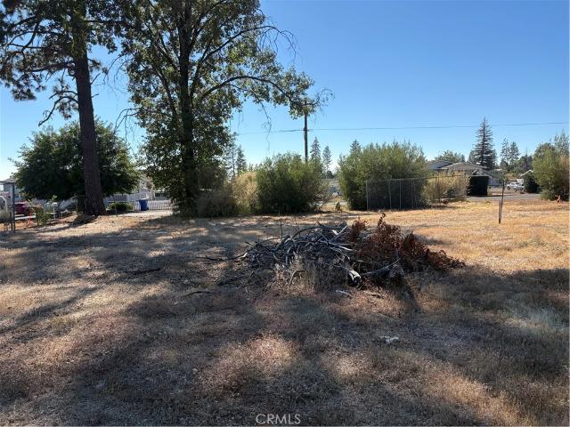 Land for sale in Butte, California