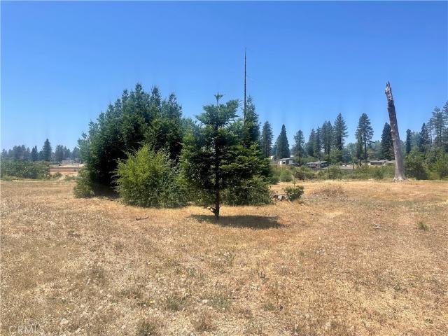 Land for sale in Paradise