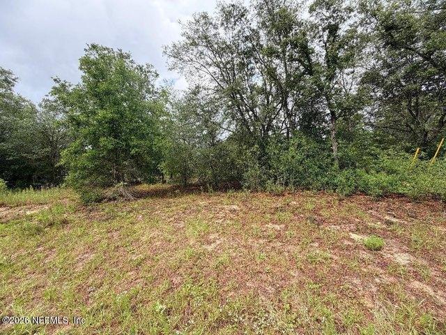 Land for sale in Keystone Heights, Florida