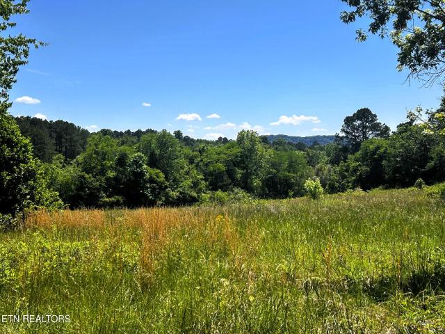 Land for sale in Tennessee