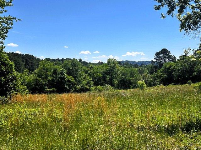 Farm for sale in Decatur, East Tennessee