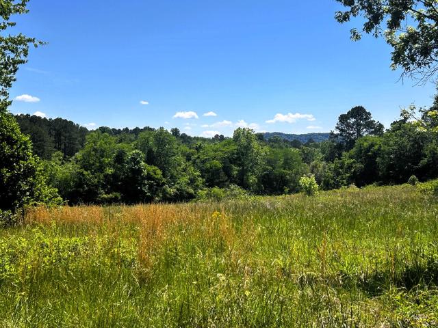 Land for sale in Tennessee