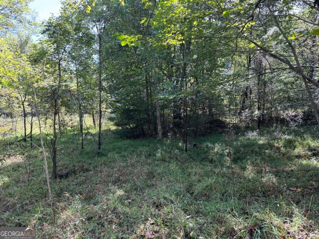 Land for sale in Sunnyside, Hiawassee