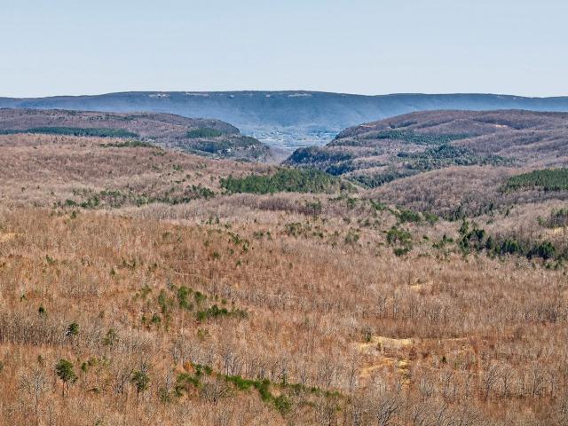 Land for sale in Tennessee