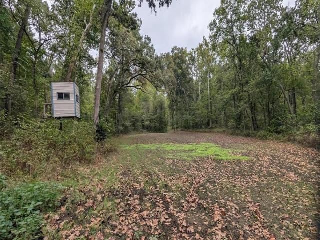 Land for sale in Collins, St. Clair County