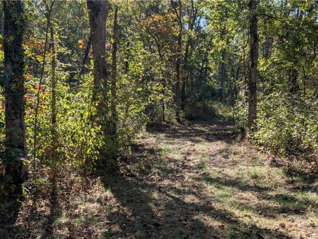 Land for sale in Topper, Collins