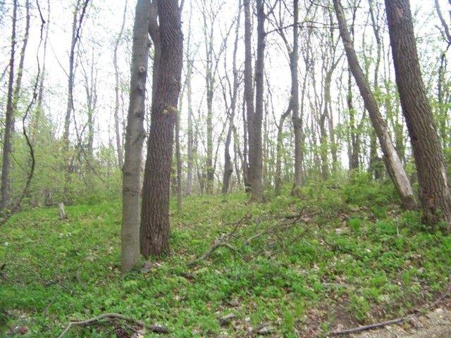 Land for sale in Coloma, Michigan