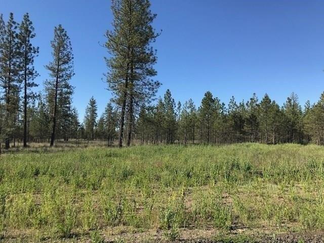 Land for sale in Tumtum, Washington
