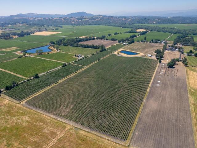 House for sale in Geyserville, California