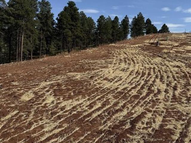 Land for sale in Rapid City, South Dakota