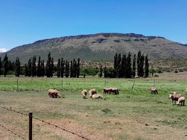 Farm for sale in Graaff Reinet, Eastern Cape