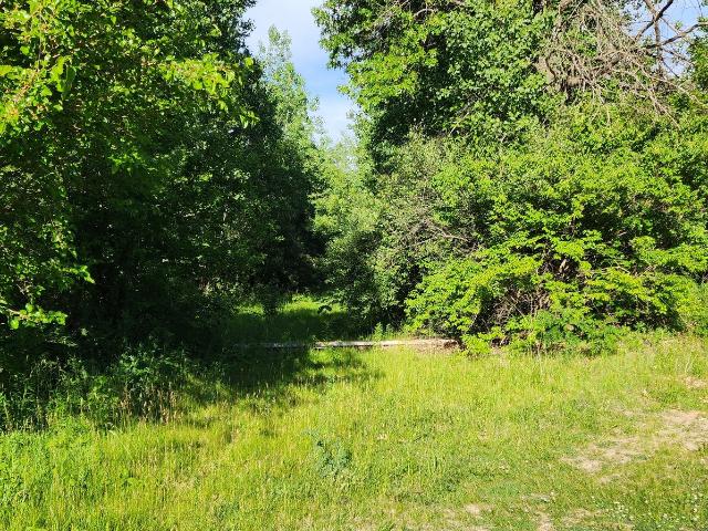 Land for sale in Braidwood, Illinois