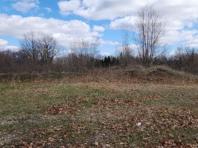 Land for sale in Braidwood, Illinois