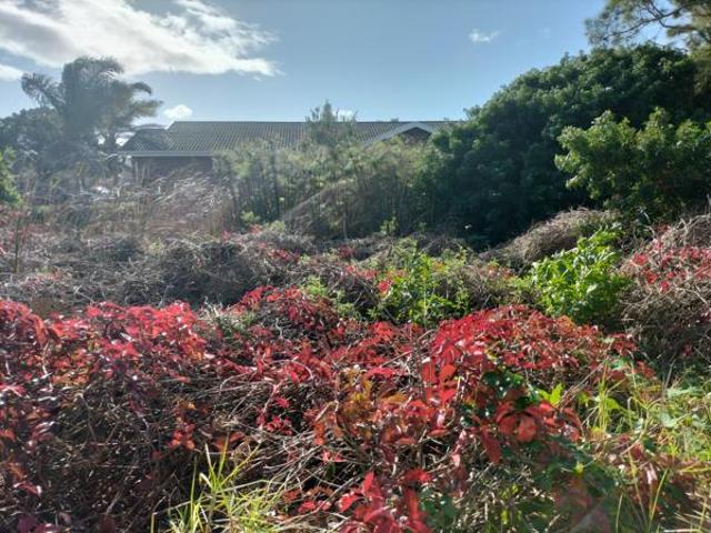 Land for sale in Cape St Francis, Eastern Cape