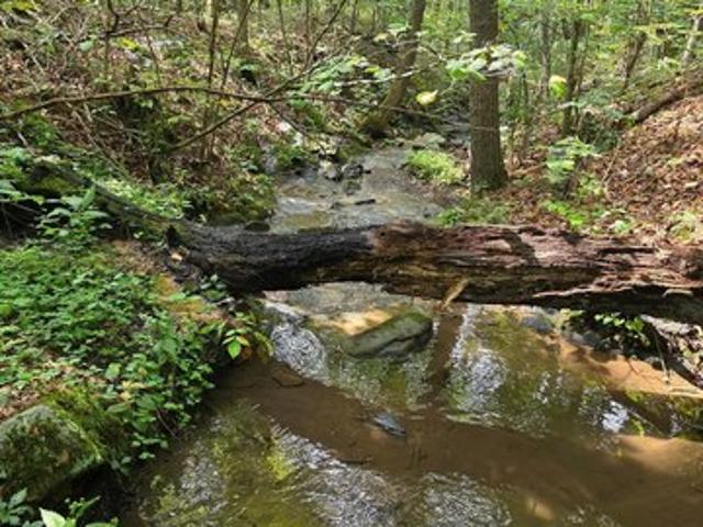 Land for sale in Fort Valley, Georgia