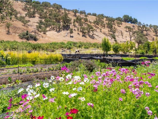 Commercial for sale in Paso Robles, California
