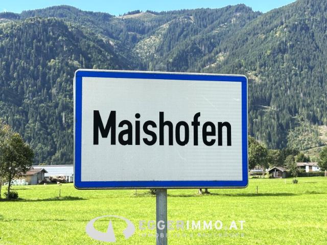 Wohnung kaufen in Mitterhofen, Maishofen