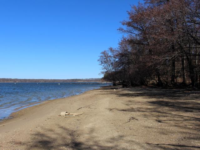 Land for sale in Weldon, Illinois