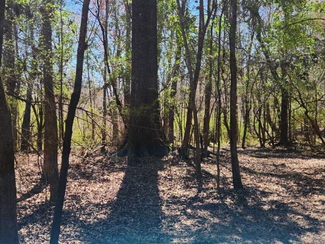 Land for sale in Dry Branch