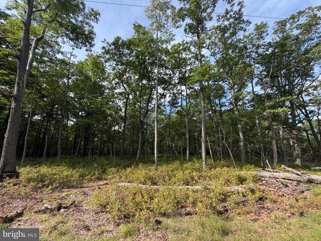 Land for sale in Zion Grove, Pennsylvania