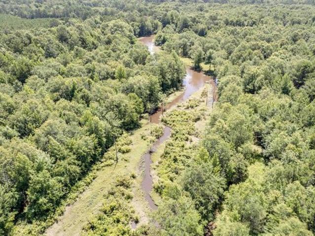 Land for sale in Atlanta, Texas