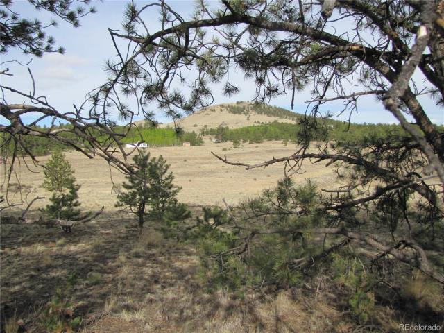 Land for sale in Hartsel, Colorado