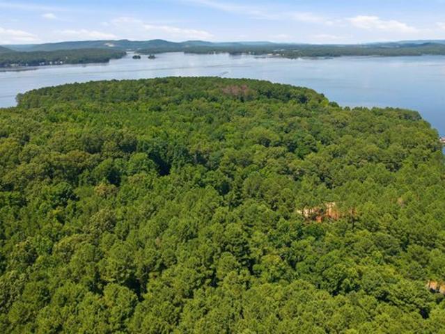 Land for sale in Langston, Alabama