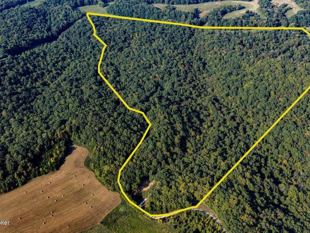 House for sale in Metcalfe County, Kentucky