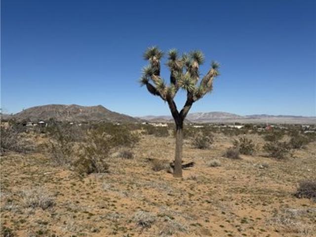 Land for sale in Landers, California